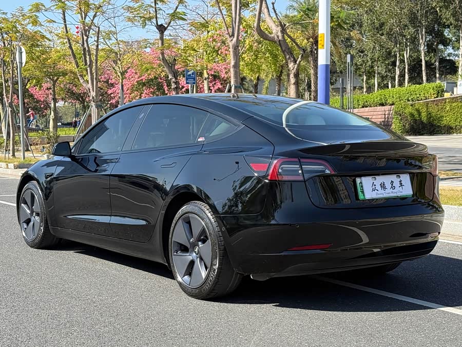 Tesla Model 3 2021 image de voiture #6