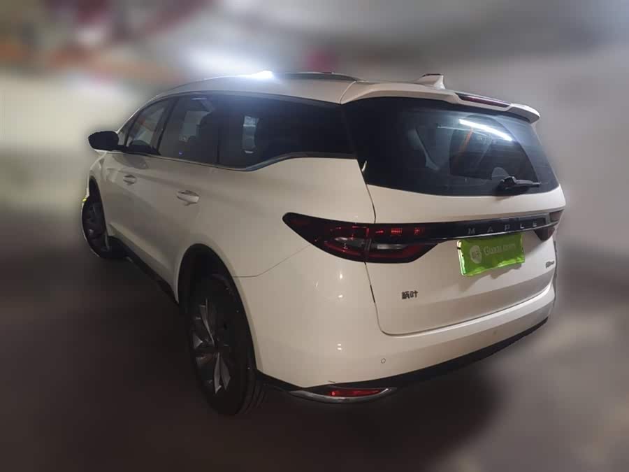 睿蓝汽车 枫叶80v PRO 2023 汽车图片 #6