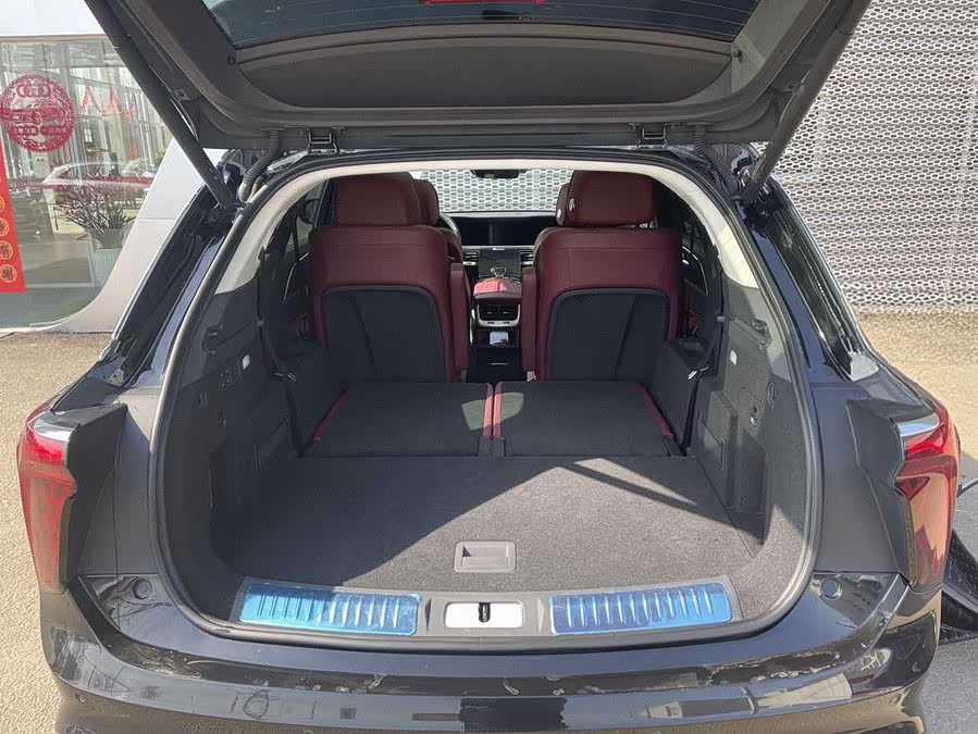 HongQi E-HS9 2023 изображение автомобиля #6