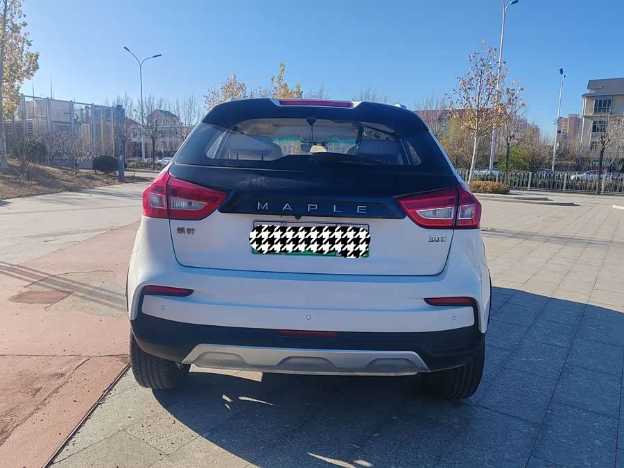 睿蓝汽车 枫叶30X 2021 汽车图片 #6