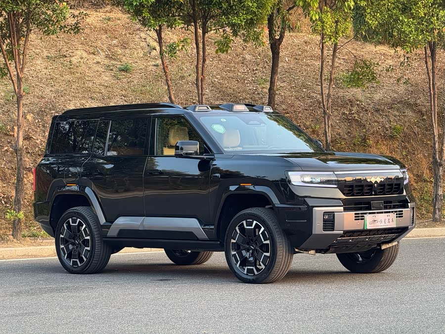 FangChengBao Leopard 8 2024 car image #6