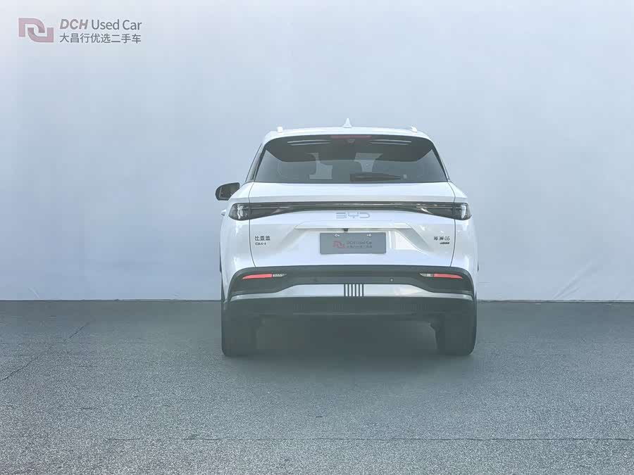 BYD Sea Lion 05 DM-i 2025 car image #6