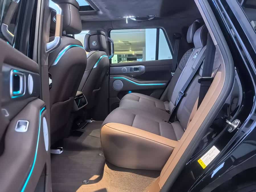 Tank 700 New Energy 2025 صورة سيارة #6