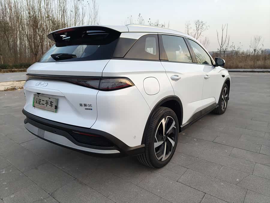 BYD Sea Lion 05 DM-i 2025 car image #6