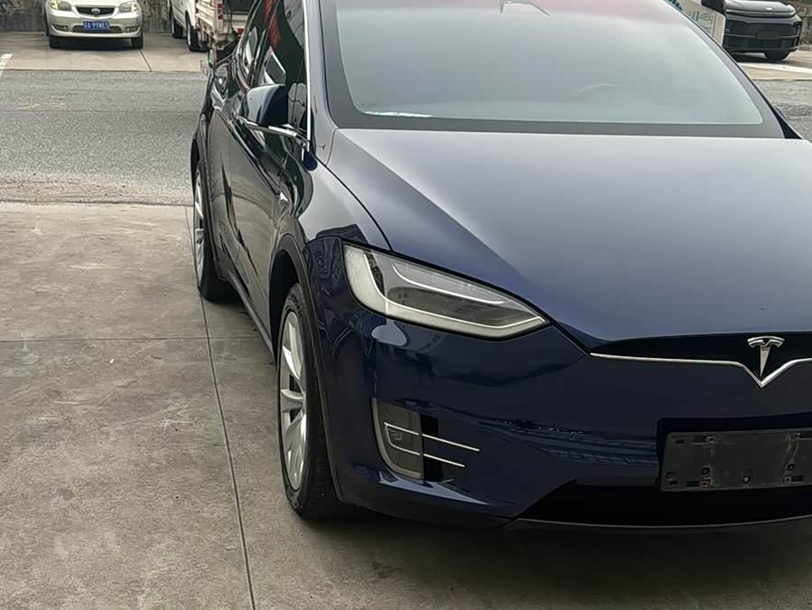 Tesla Model X 2018 car image #6