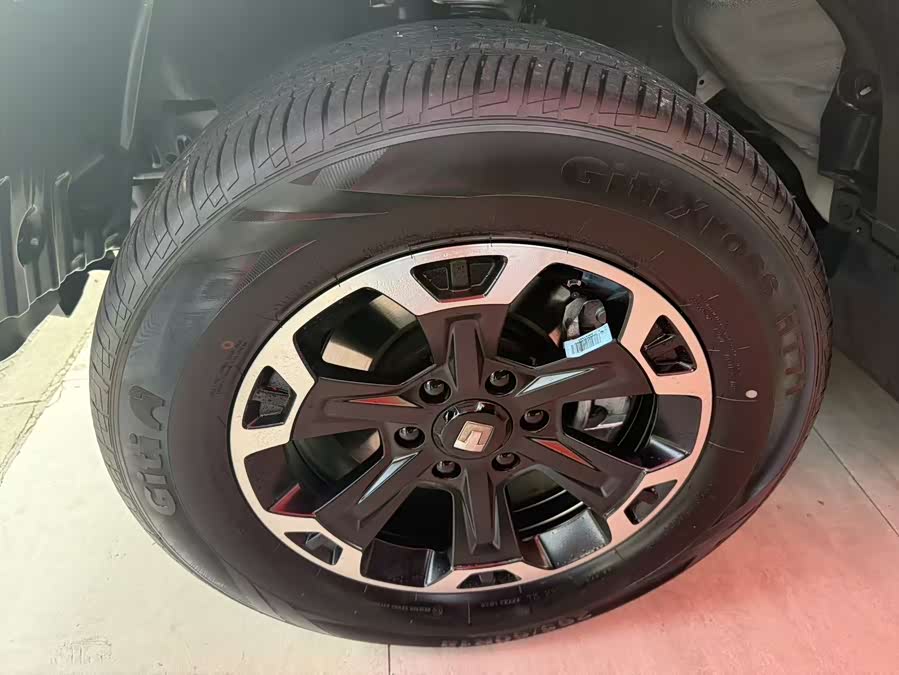 Tank 300 New Energy 2025 car image #6