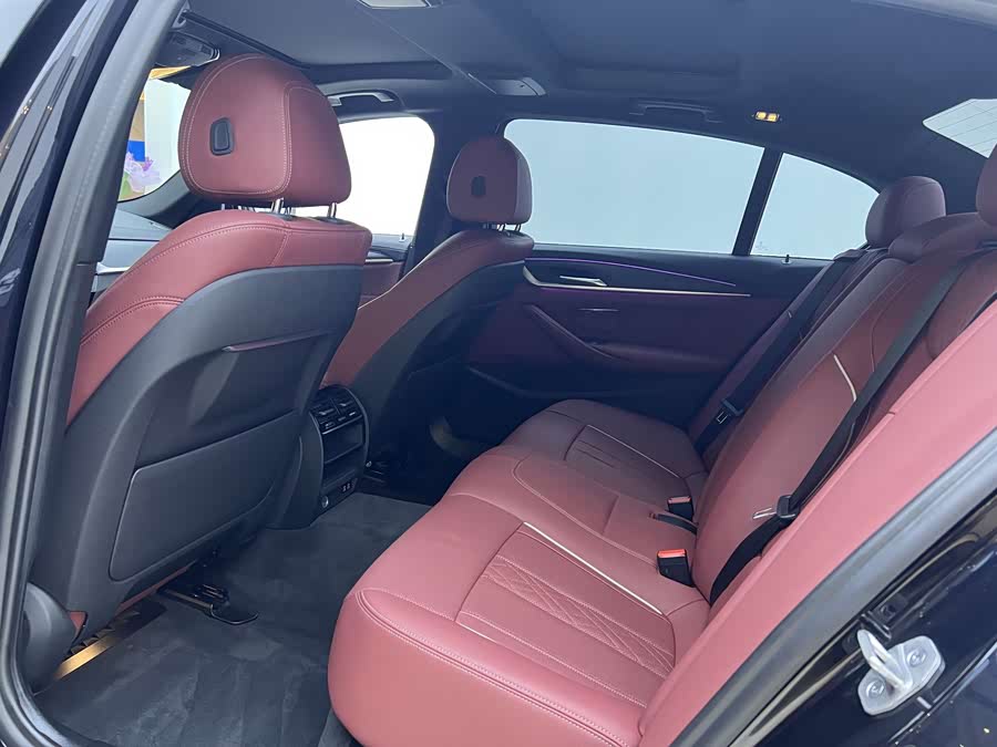 BMW 5 Series 2021 car image #6