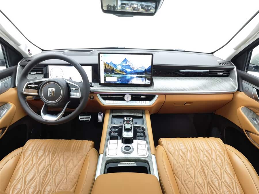 Tank 500 2022 car image #6