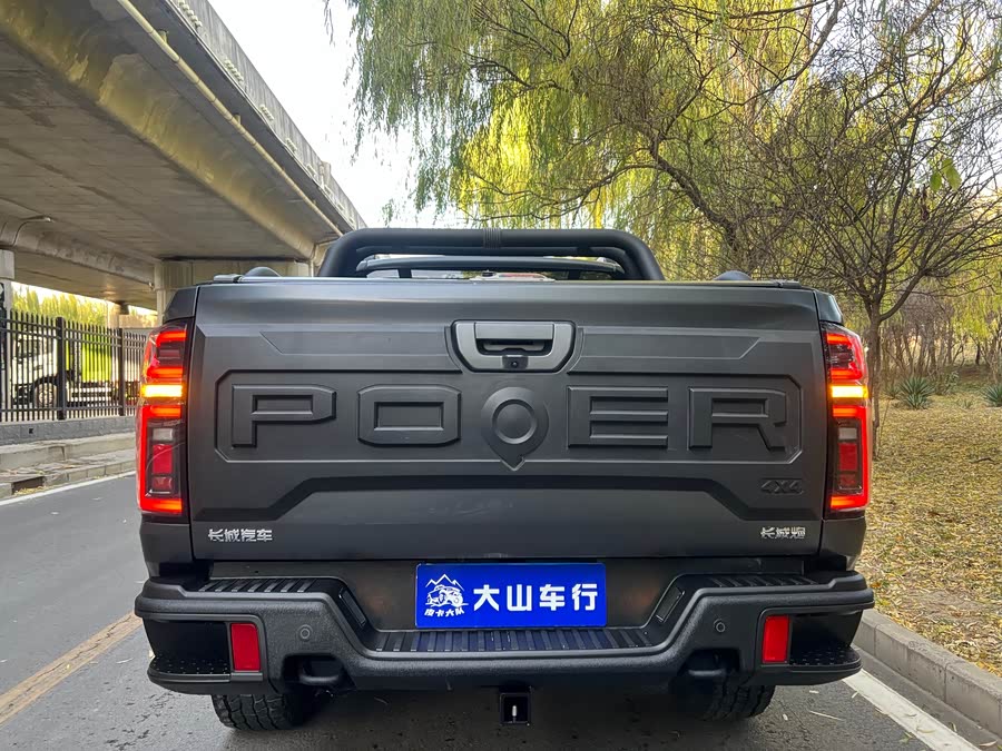 Tank 300 2024 car image #6