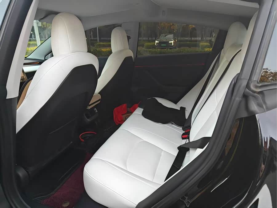 Tesla Model 3 2022 car image #6