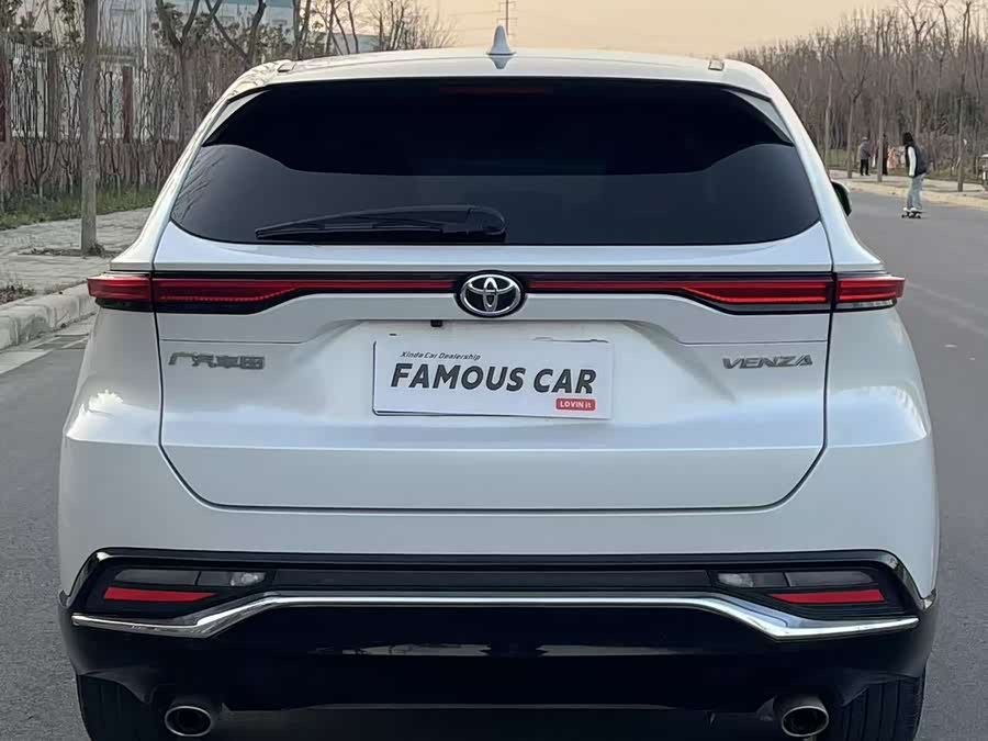 Toyota Venza 2022 immagine di auto #6