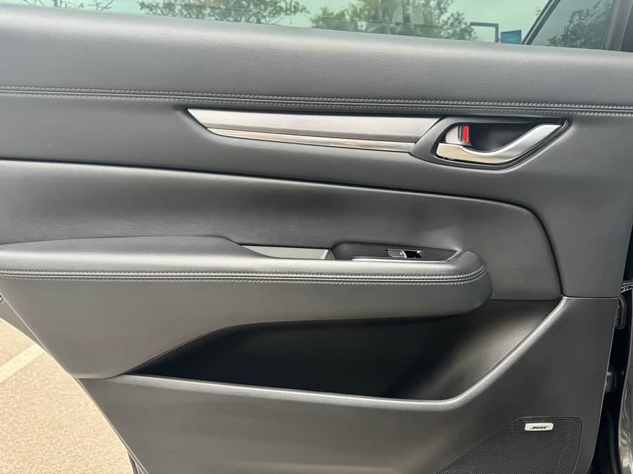 Mazda CX-8 2021 car image #6