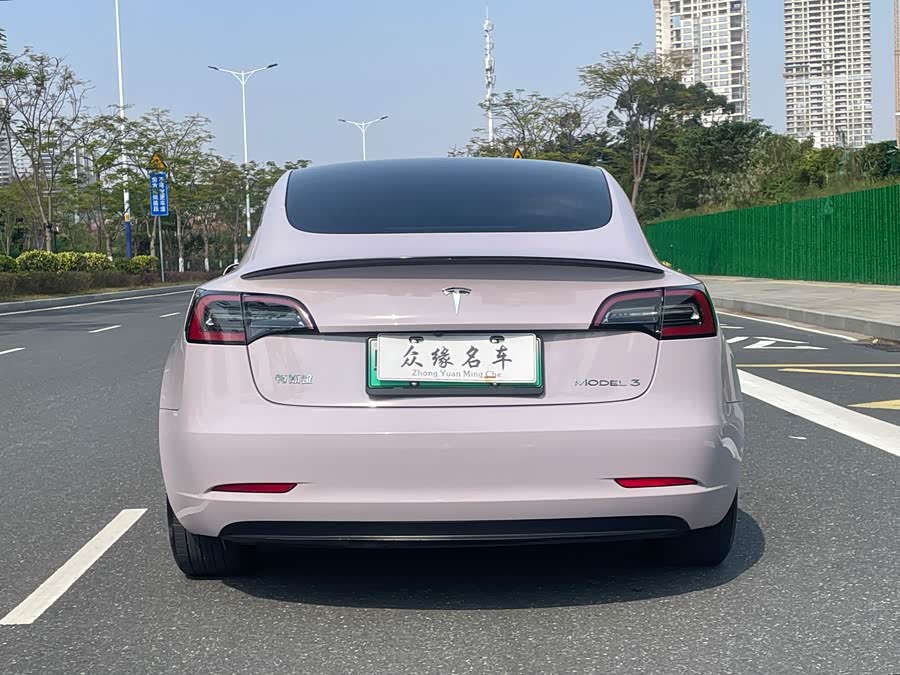 Tesla Model 3 2020 image de voiture #6