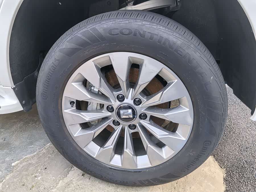 Tank 500 New Energy 2024 immagine di auto #6