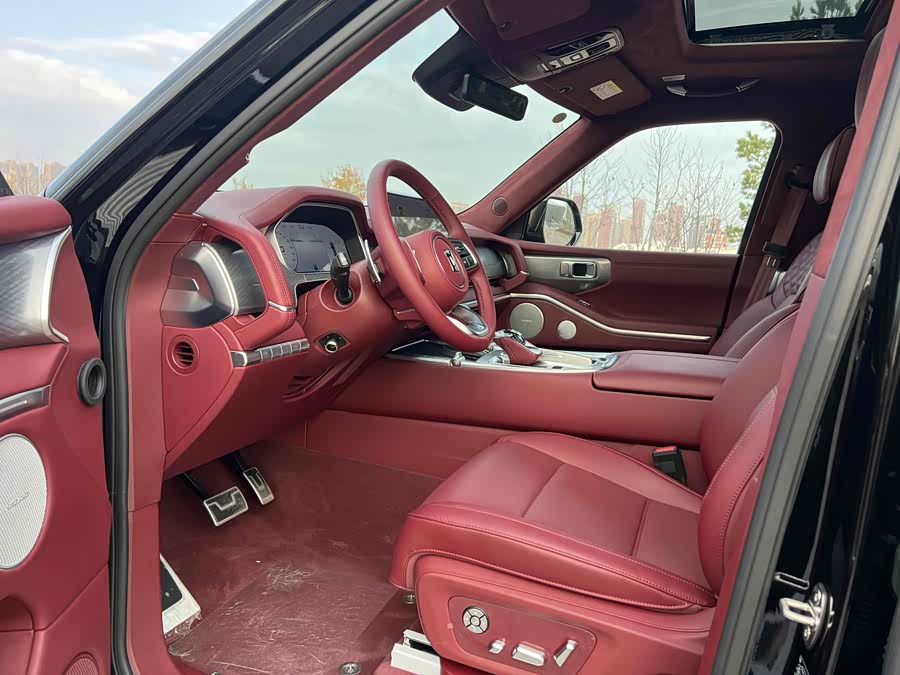 Tank 700 New Energy 2025 immagine di auto #6