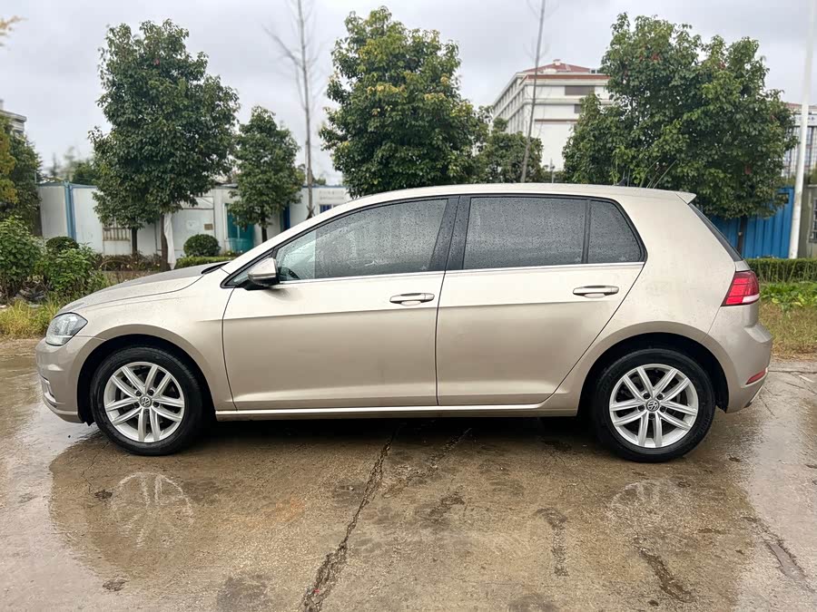 Volkswagen Golf 2019 #6 Volkswagen Golf 2019 car image #6
