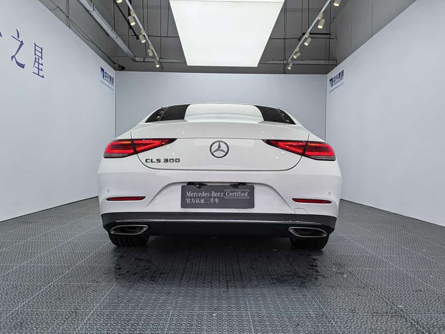 Mercedes-Benz CLS Class 2019 car image #6