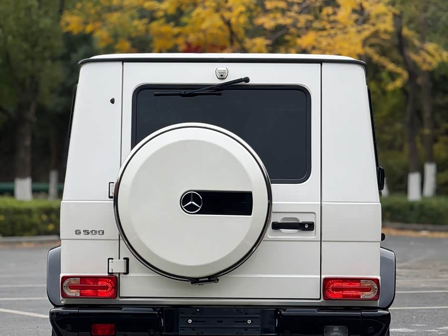 Mercedes-Benz G Class 2013 #6 Mercedes-Benz G Class 2013 immagine di auto #6