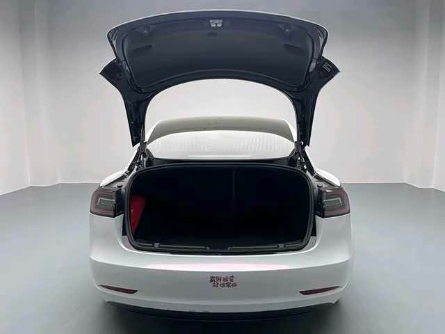 Tesla Model 3 2020 #6 Tesla Model 3 2020 car image #6