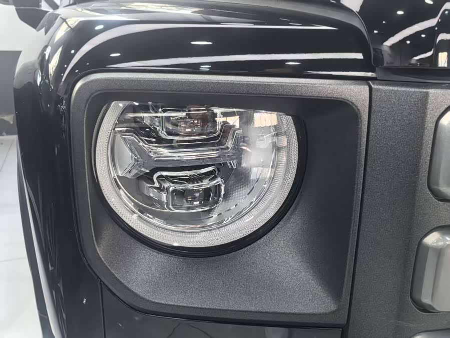 Haval Raptor New Energy 2023 car image #6