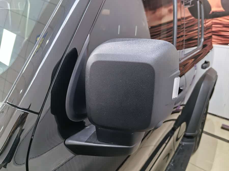 Tank 300 2022 car image #6