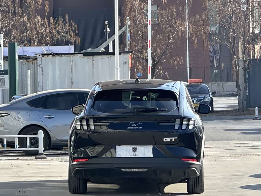 Ford Mustang Mach-E 2022 car image #6