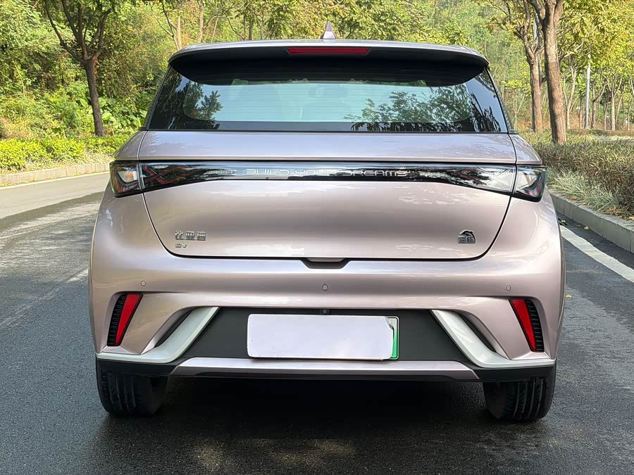 比亚迪 海豚 2022 汽车图片 #6