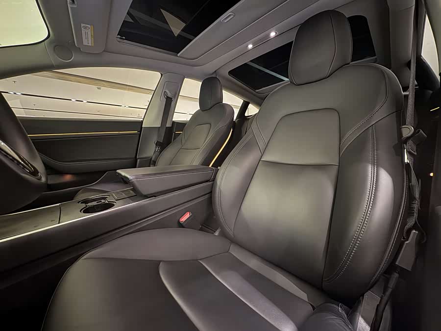 Tesla Model 3 2020 #6 Tesla Model 3 2020 car image #6