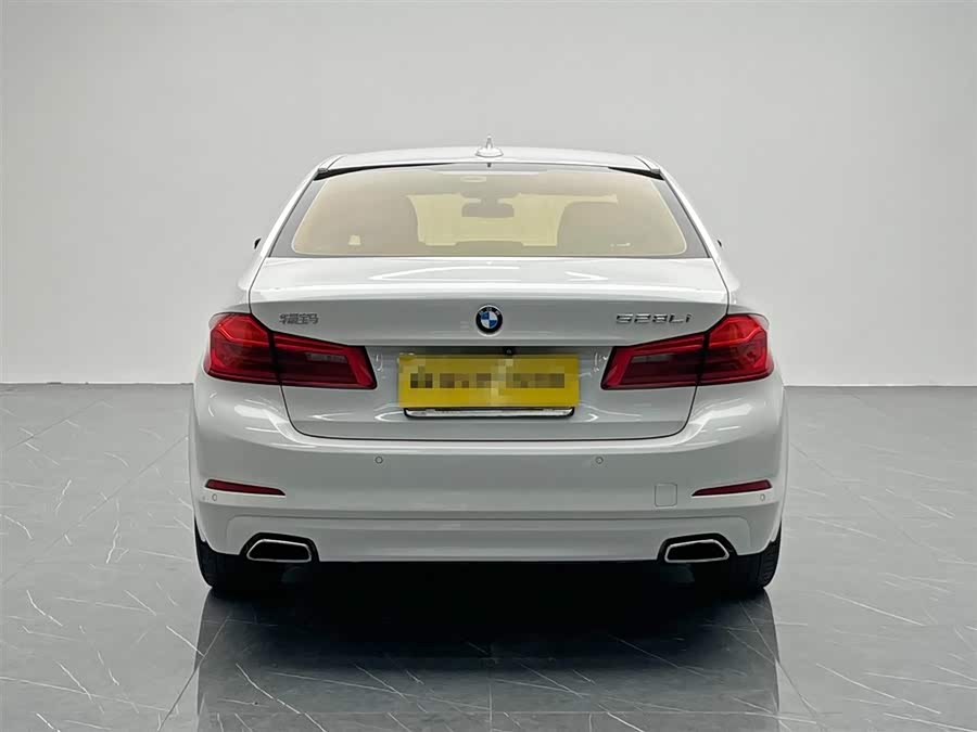 BMW 5 Series 2017 car image #6