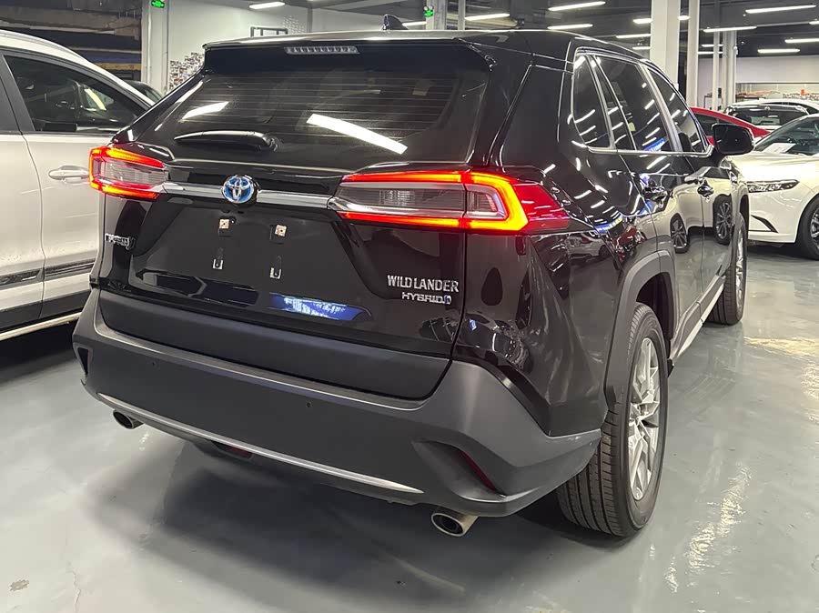 Kia Wildlander 2022 car image #6