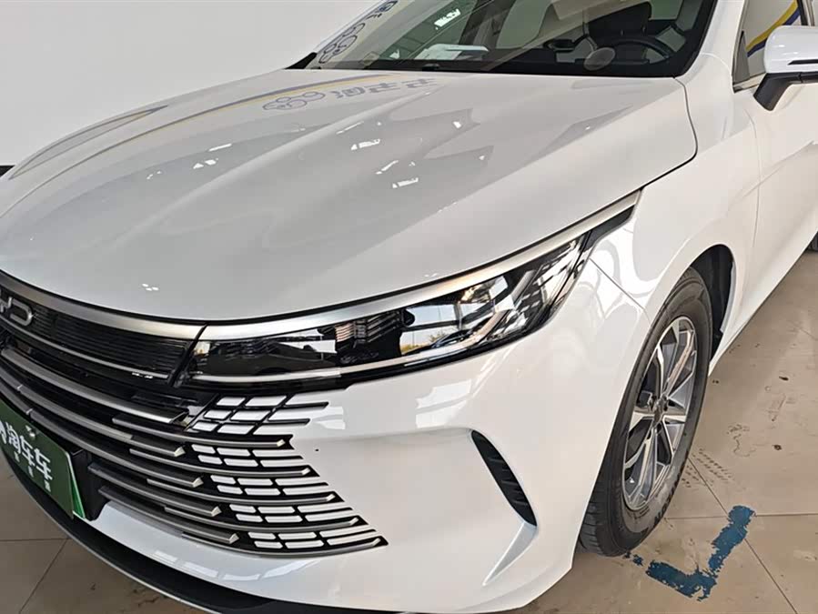 BYD Destroyer 05 2025 car image #6