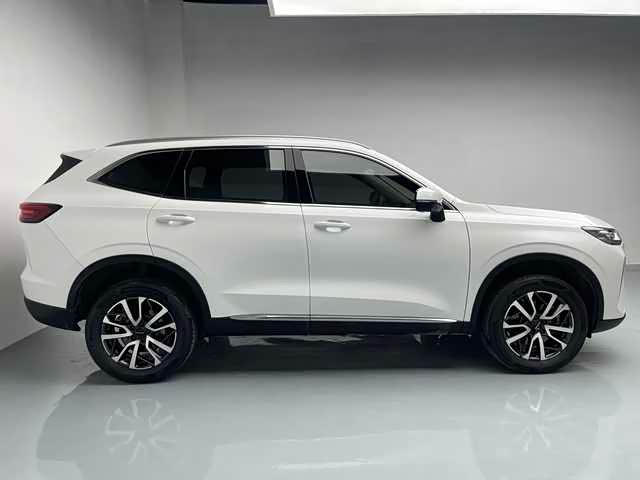 Haval H6 2021 car image #6