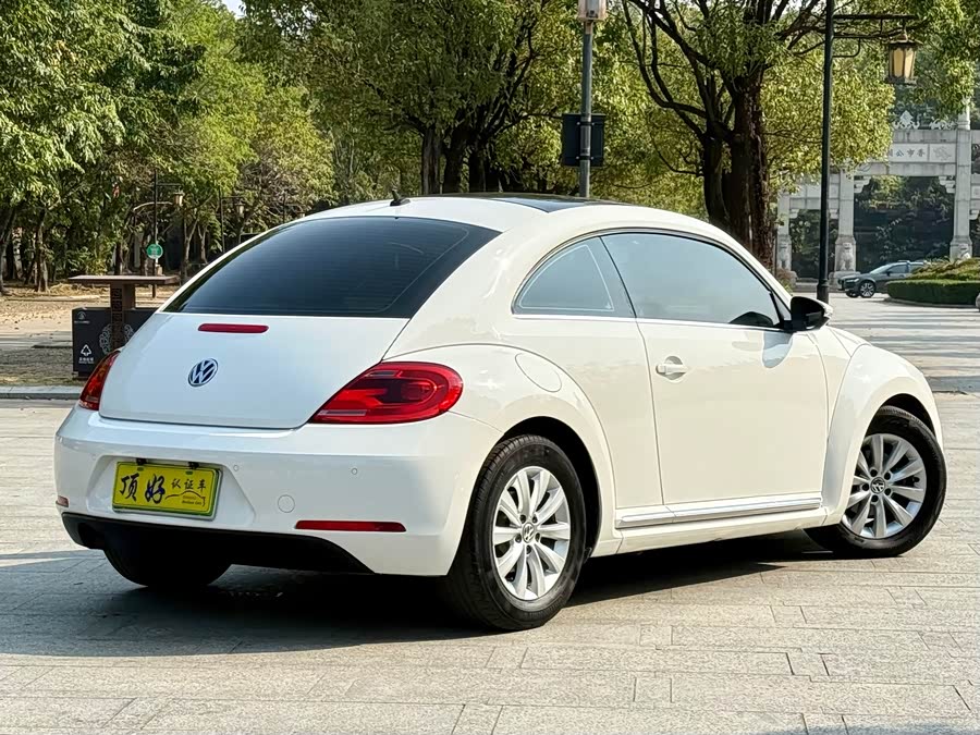 Volkswagen Beetle 2013 immagine di auto #6