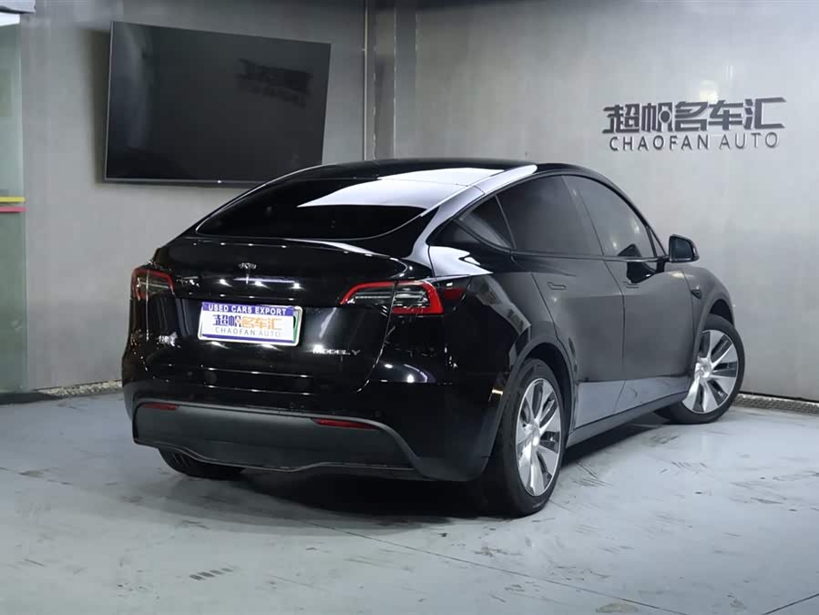Tesla Model Y 2022 car image #6