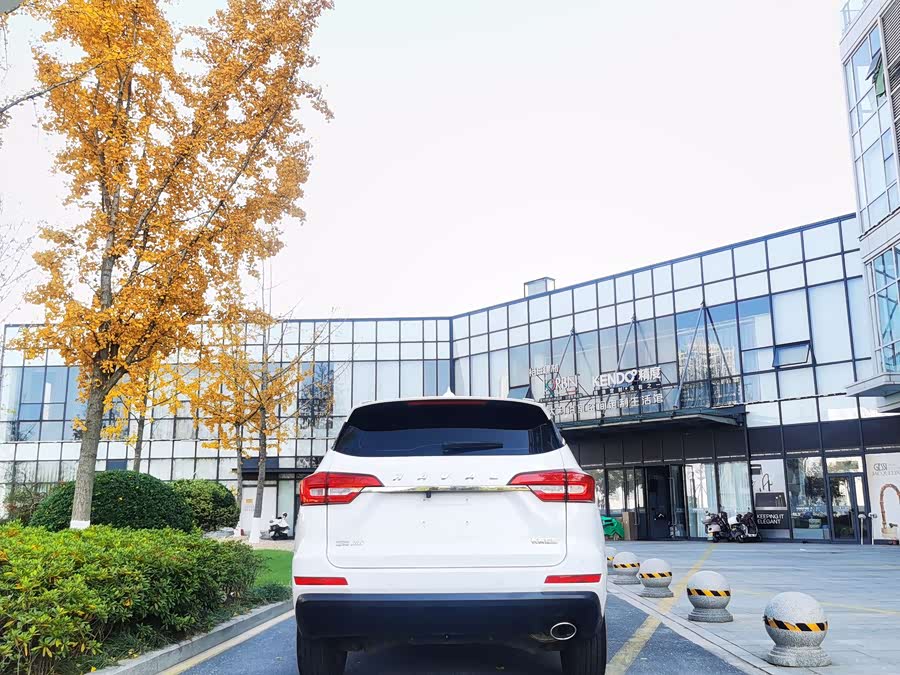 Haval M6 2019 #6 Haval M6 2019 car image #6