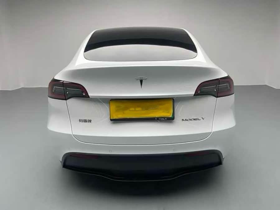 Tesla Model Y 2022 #6 Tesla Model Y 2022 car image #6
