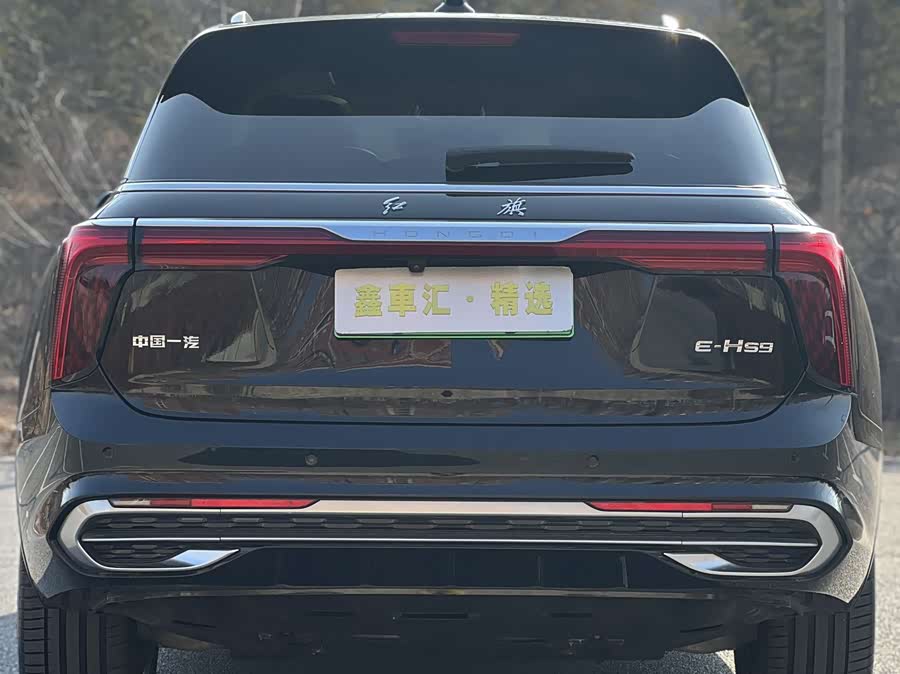 HongQi E-HS9 2023 صورة سيارة #6