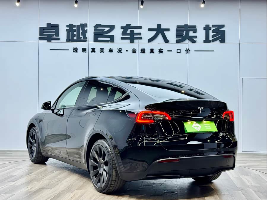 Tesla Model Y 2021 #6 Tesla Model Y 2021 car image #6