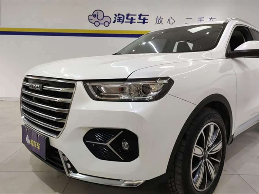 Haval H6 2021 car image #6