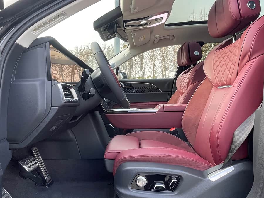 HongQi E-HS9 2023 изображение автомобиля #6