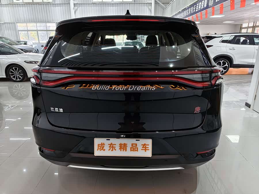 BYD Tang 2019 car image #6