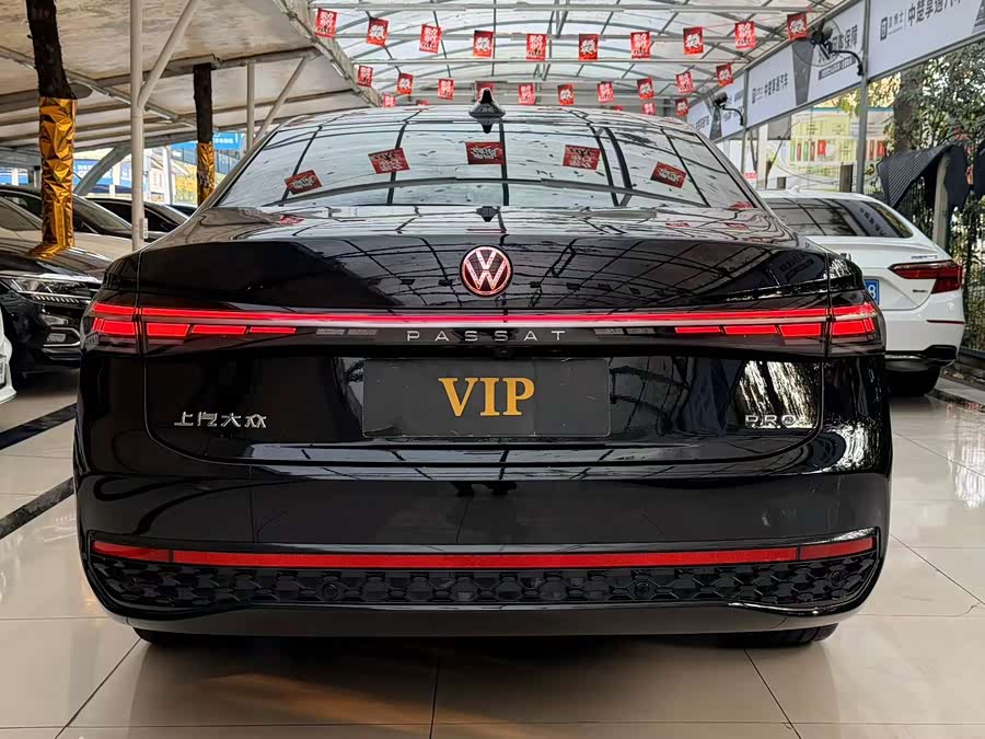 Volkswagen Passat 2024 car image #6