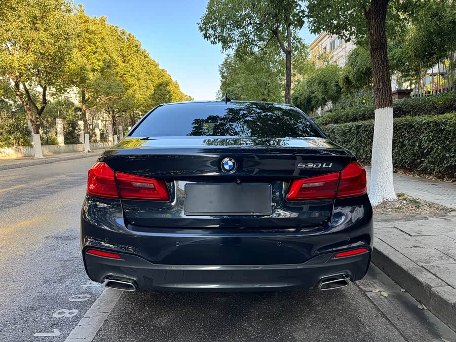 BMW 5 Series 2018 #6 BMW 5 Series 2018 car image #6