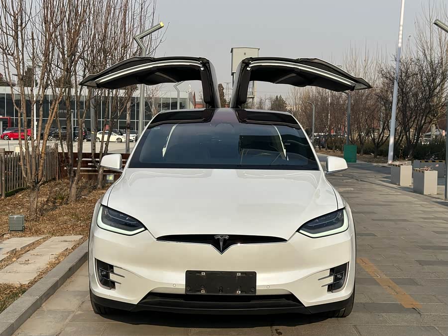 Tesla Model X 2020 #6 Tesla Model X 2020 car image #6