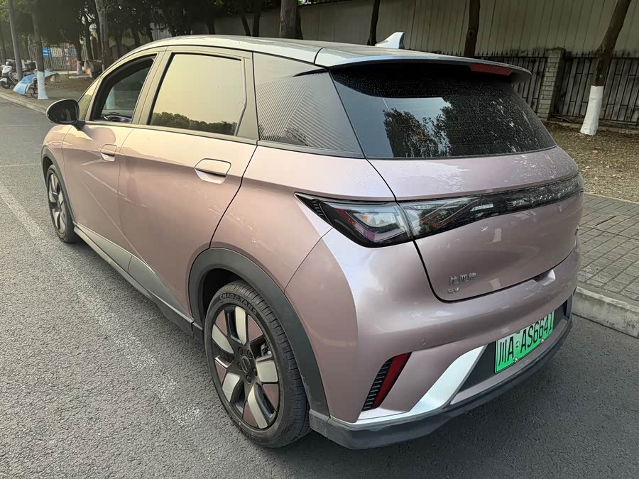 BYD Dolphin 2022 car image #6