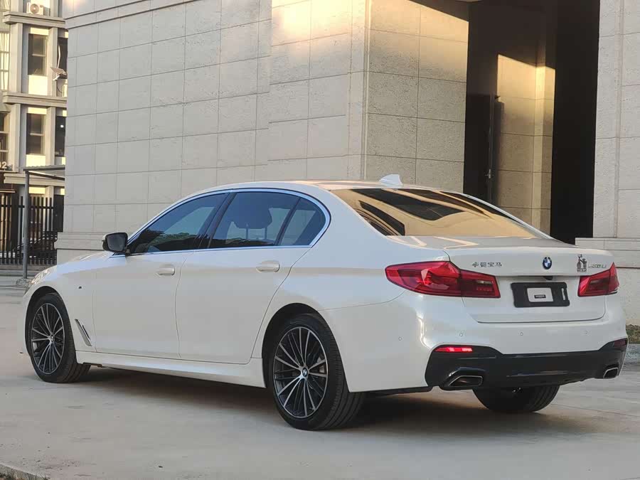 BMW 5 Series 2020 car image #6
