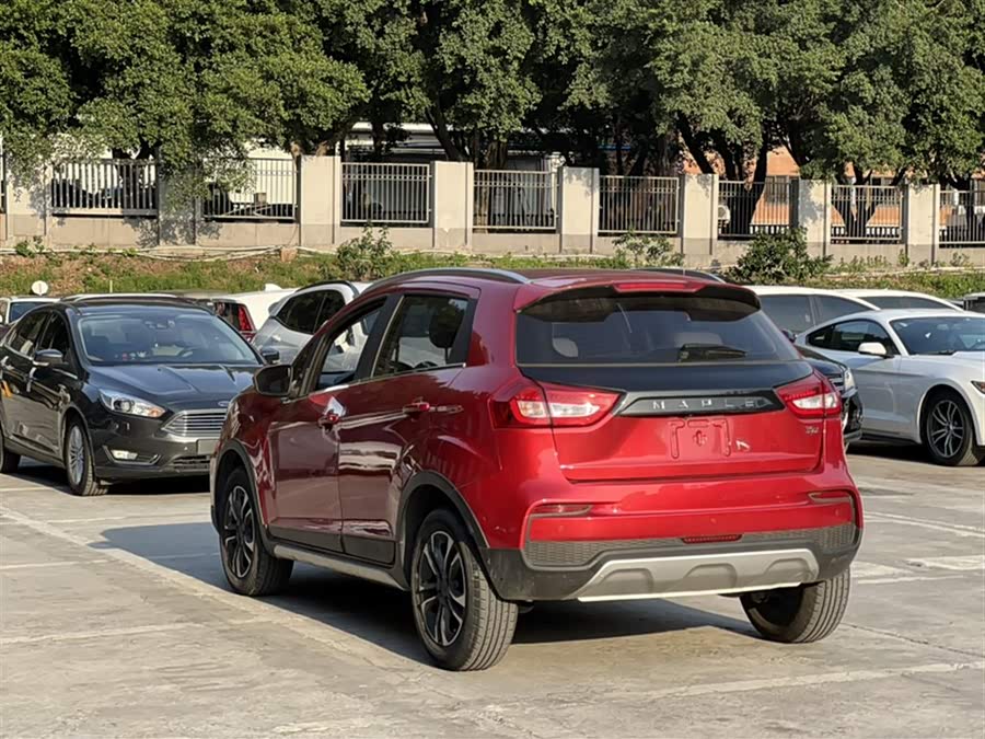 睿蓝汽车 枫叶30X 2021 汽车图片 #6