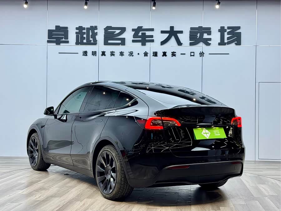 Tesla Model Y 2021 car image #6