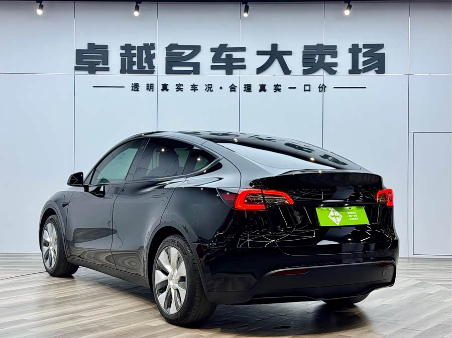 Tesla Model Y 2023 car image #6