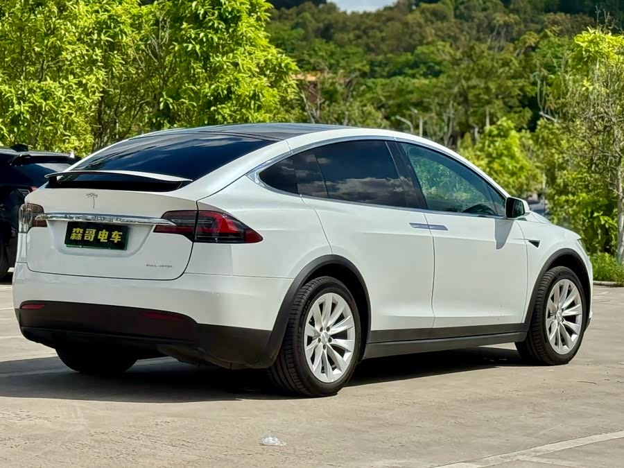 特斯拉 Model X 2020 汽车图片 #6